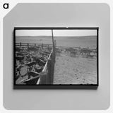 アートパネル-Cattle Branding near Marfa, Texas
 - ラッセル リー Canvas.