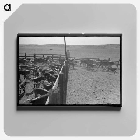 アートパネル-Cattle Branding near Marfa, Texas
 - ラッセル リー Canvas.