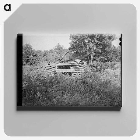 アートパネル-Abandoned Shed and Plow, McIntosh County, Oklahoma
 - ラッセル リー Canvas.