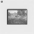 アートメモ帳-Abandoned Shed and Plow, McIntosh County, Oklahoma
 - ラッセル リー Memo.