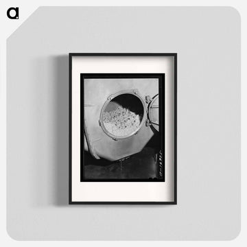 Butter in Churn at the Dairymen's Cooperative Creamery, Caldwell, Canyon County, Idaho
 - ラッセル リー Poster.