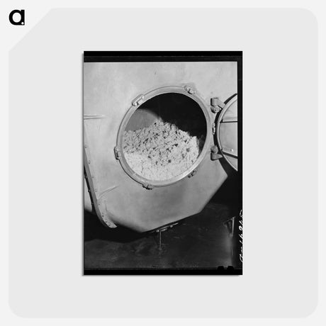 アートポストカード-Butter in Churn at the Dairymen's Cooperative Creamery, Caldwell, Canyon County, Idaho
 - ラッセル リー Postcard.