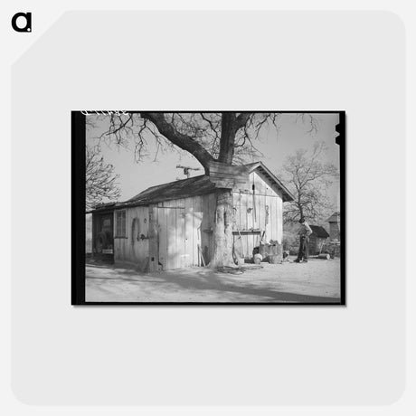アートポストカード-Barn of Chinese Farmer, Placer County, California
 - ラッセル リー Postcard.