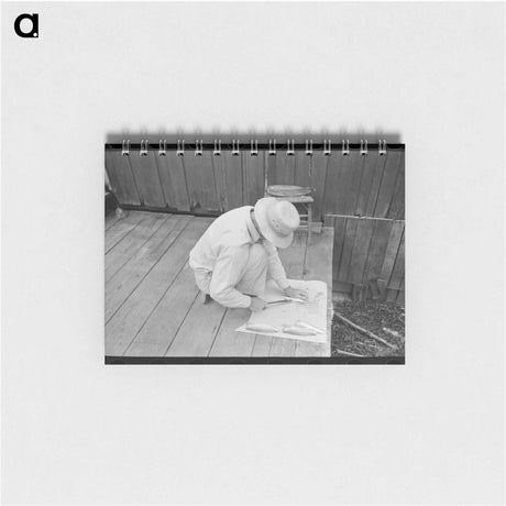 アートメモ帳-Man Cleaning Fish, Olga, Louisiana
 - ラッセル リー Memo.