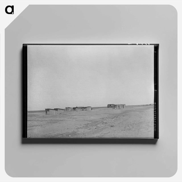 アートパネル-Farm Laborers' Dwellings, Ralls, Texas
 - ラッセル リー Canvas.