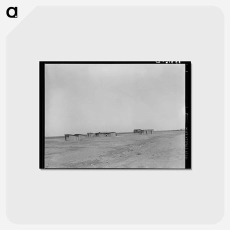アートポストカード-Farm Laborers' Dwellings, Ralls, Texas
 - ラッセル リー Postcard.