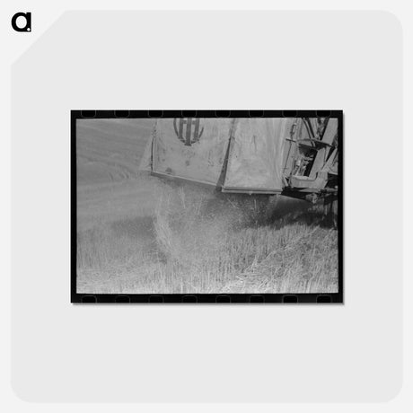 アートポストカード-Combine in Wheat Field, Walla Walla County, Washington
 - ラッセル リー Postcard.