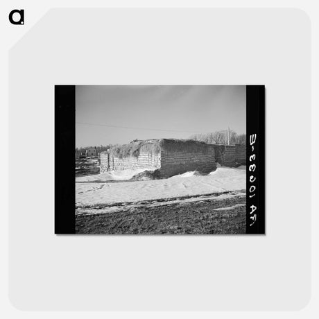 アートポストカード-Greendale Project: Brick and Straw Piles
 - ラッセル リー Postcard.