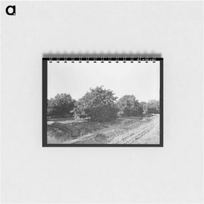 アートメモ帳-Irrigating Citrus Orchard near San Juan, Texas
 - ラッセル リー Memo.