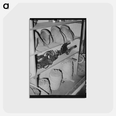 アートポストカード-Ranch Supply Store Interior, Alpine, Texas
 - ラッセル リー Postcard.