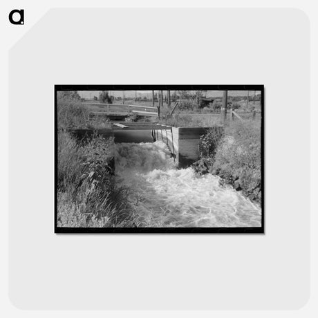 アートポストカード-Irrigation Ditch, Box Elder County, Utah
 - ラッセル リー Postcard.