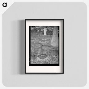 アートポスター-Interior of Shed of Agricultural Day Laborer, McIntosh County, Oklahoma
 - ラッセル リー Poster.