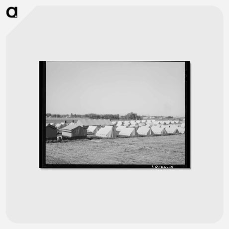 アートポストカード-Tents at FSA Migratory Labor Camp Mobile Unit
 - ラッセル リー Postcard.