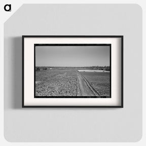 アートポスター-Truck Farm near San Angelo, Texas
 - ラッセル リー Poster.