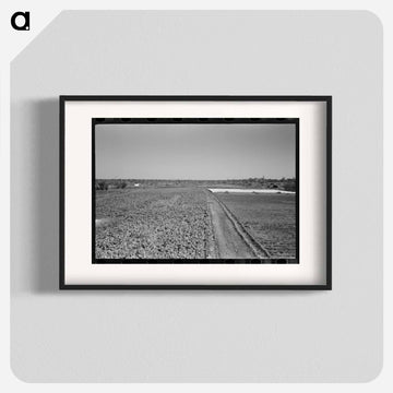 Truck Farm near San Angelo, Texas
 - ラッセル リー Poster.