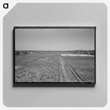 アートパネル-Truck Farm near San Angelo, Texas
 - ラッセル リー Canvas.