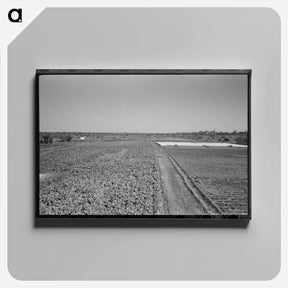 アートパネル-Truck Farm near San Angelo, Texas
 - ラッセル リー Canvas.