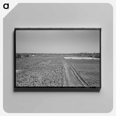 アートパネル-Truck Farm near San Angelo, Texas
 - ラッセル リー Canvas.