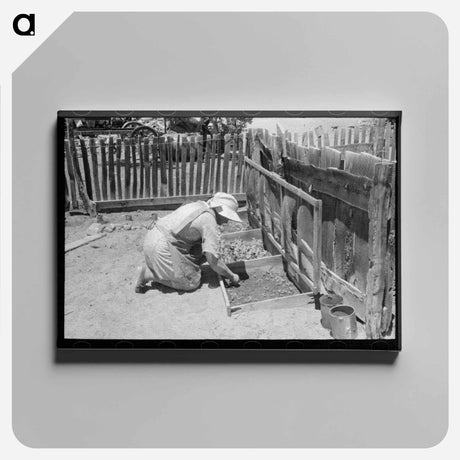 アートパネル-Mrs. Hutton at Her Seedbed, Pie Town, New Mexico
 - ラッセル リー Canvas.