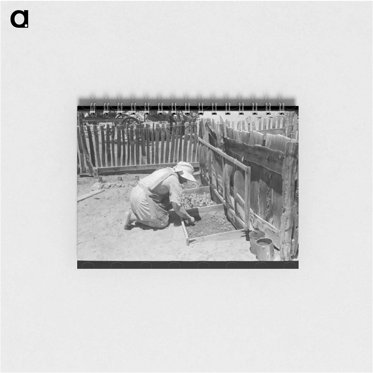アートメモ帳-Mrs. Hutton at Her Seedbed, Pie Town, New Mexico
 - ラッセル リー Memo.