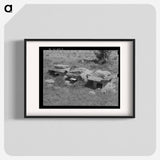 アートポスター-Chicken Houses near Sallisaw, Oklahoma
 - ラッセル リー Poster.
