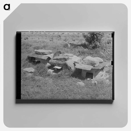 アートパネル-Chicken Houses near Sallisaw, Oklahoma
 - ラッセル リー Canvas.