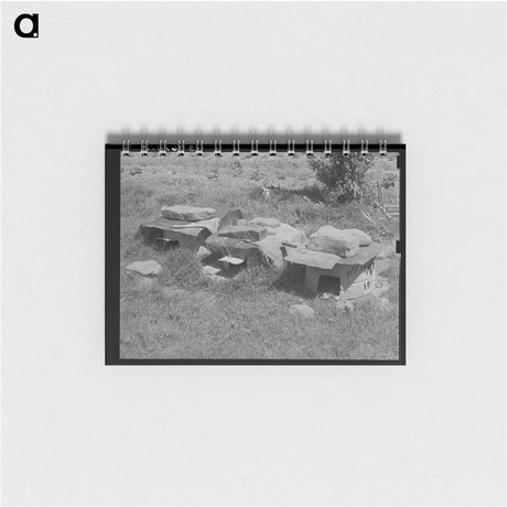アートメモ帳-Chicken Houses near Sallisaw, Oklahoma
 - ラッセル リー Memo.