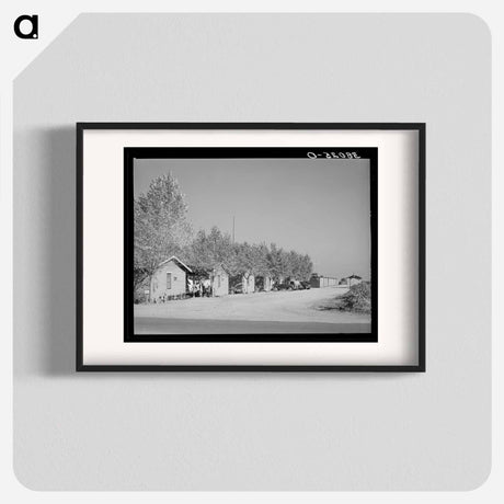 アートポスター-Housing for Married People of Earl Fruit Company Ranch
 - ラッセル リー Poster.