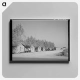 アートパネル-Housing for Married People of Earl Fruit Company Ranch
 - ラッセル リー Canvas.
