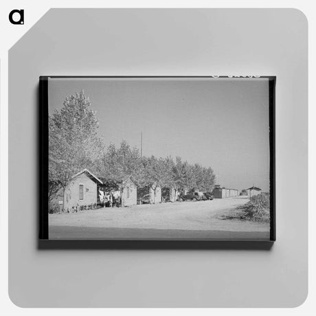 アートパネル-Housing for Married People of Earl Fruit Company Ranch
 - ラッセル リー Canvas.