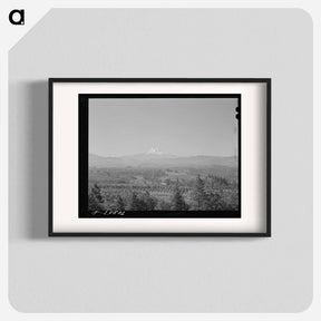 アートポスター-Orchards in Hood River Valley
 - ラッセル リー Poster.