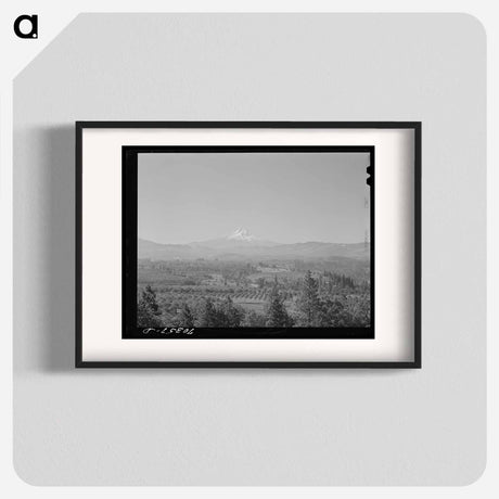 アートポスター-Orchards in Hood River Valley
 - ラッセル リー Poster.