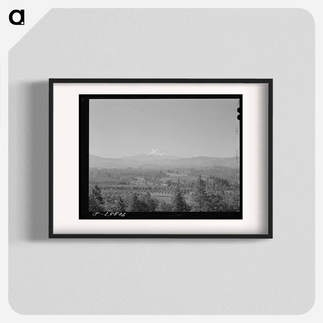 アートポスター-Orchards in Hood River Valley
 - ラッセル リー Poster.