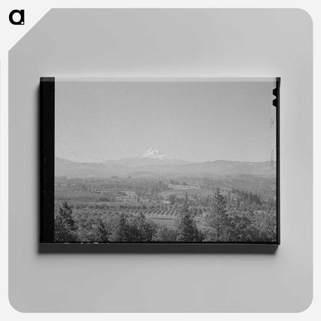 アートパネル-Orchards in Hood River Valley
 - ラッセル リー Canvas.