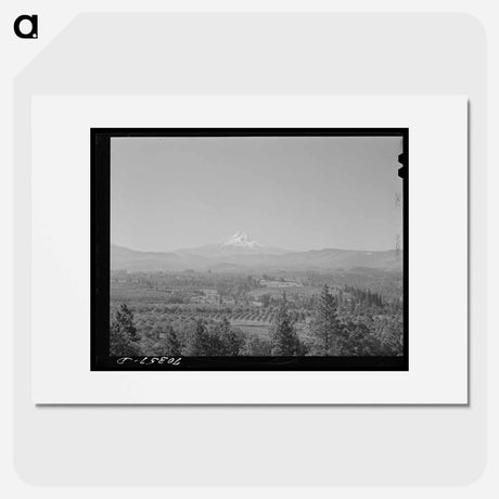 アートポスター-Orchards in Hood River Valley
 - ラッセル リー Poster.