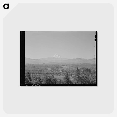 アートポストカード-Orchards in Hood River Valley
 - ラッセル リー Postcard.