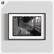 アートポスター-Back Porches of Apartment Building, Chicago
 - ラッセル リー Poster.
