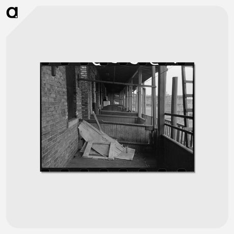 アートポストカード-Back Porches of Apartment Building, Chicago
 - ラッセル リー Postcard.