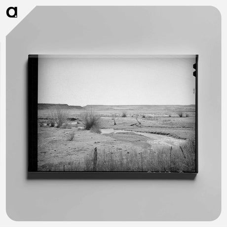 アートパネル-Little Colorado River, Apache County
 - ラッセル リー Canvas.