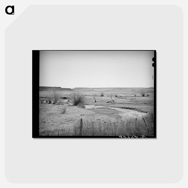 アートポストカード-Little Colorado River, Apache County
 - ラッセル リー Postcard.