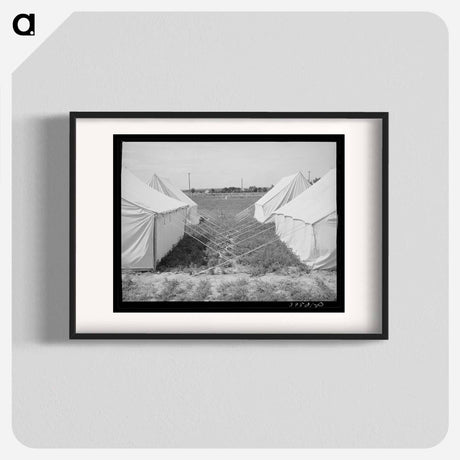 アートポスター-Tents at FSA Labor Camp, Nampa, Idaho
 - ラッセル リー Poster.