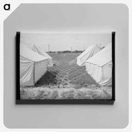 アートパネル-Tents at FSA Labor Camp, Nampa, Idaho
 - ラッセル リー Canvas.