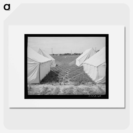 アートポスター-Tents at FSA Labor Camp, Nampa, Idaho
 - ラッセル リー Poster.