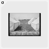 アートポストカード-Tents at FSA Labor Camp, Nampa, Idaho
 - ラッセル リー Postcard.