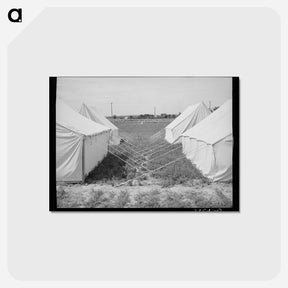 アートポストカード-Tents at FSA Labor Camp, Nampa, Idaho
 - ラッセル リー Postcard.