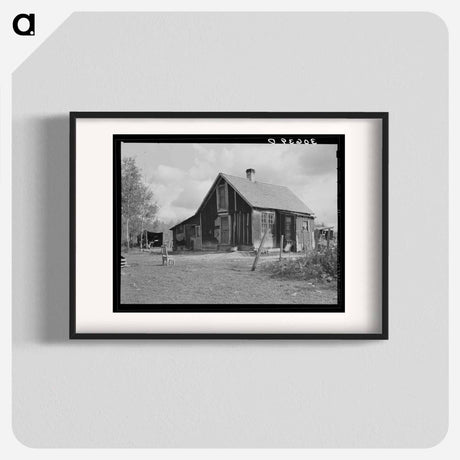 アートポスター-Home of Steve Flanders, Cut-Over Farmer Near Northome, Minnesota
 - ラッセル リー Poster.