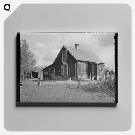 アートパネル-Home of Steve Flanders, Cut-Over Farmer Near Northome, Minnesota
 - ラッセル リー Canvas.
