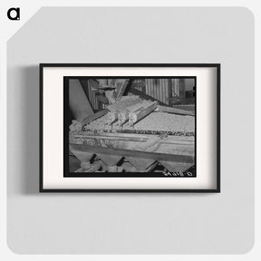 アートポスター-Peanut Grader, Peanut-Shelling Plant, Comanche, Texas
 - ラッセル リー Poster.