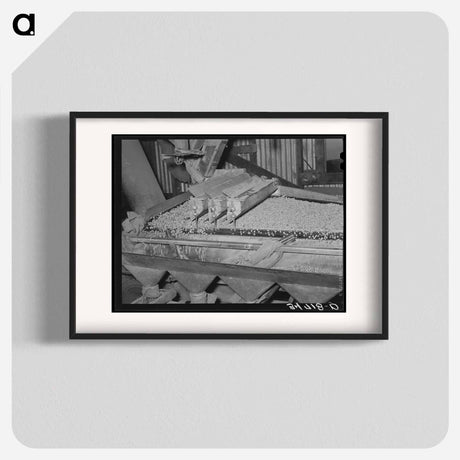 アートポスター-Peanut Grader, Peanut-Shelling Plant, Comanche, Texas
 - ラッセル リー Poster.