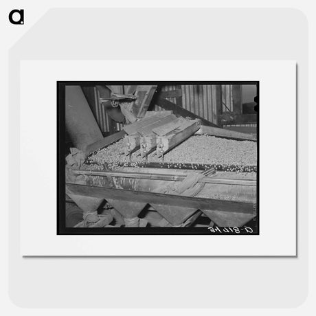 アートポスター-Peanut Grader, Peanut-Shelling Plant, Comanche, Texas
 - ラッセル リー Poster.